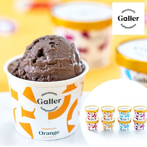 【送料無料】チョコにこだわる『ベルギー王室ご用達ガレー』監修のチョコレートアイスクリームの詰合せ ガレープレミアムアイスクリーム８個セット